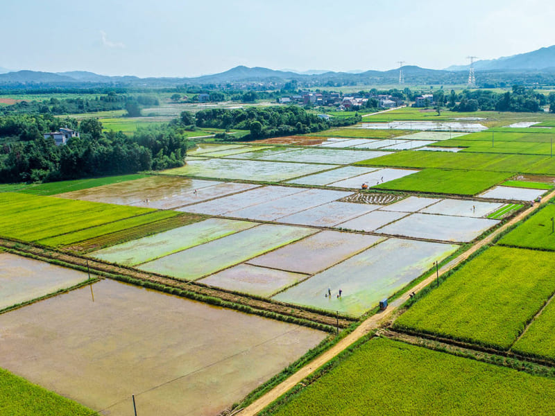 恒美科技助力高標(biāo)準(zhǔn)農(nóng)田建設(shè)，推進(jìn)農(nóng)業(yè)現(xiàn)代化